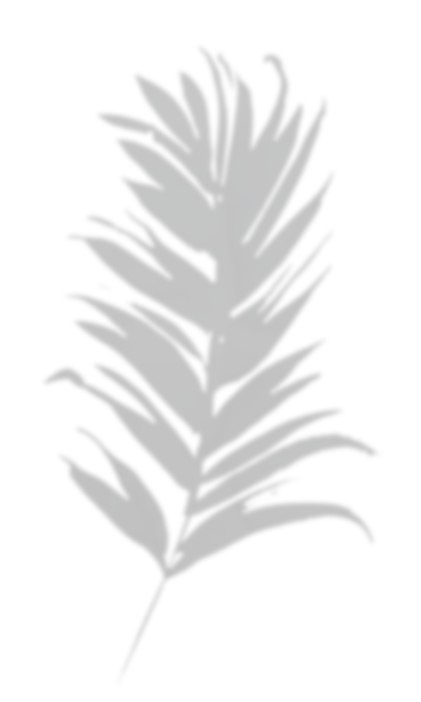13a-614x1024.png